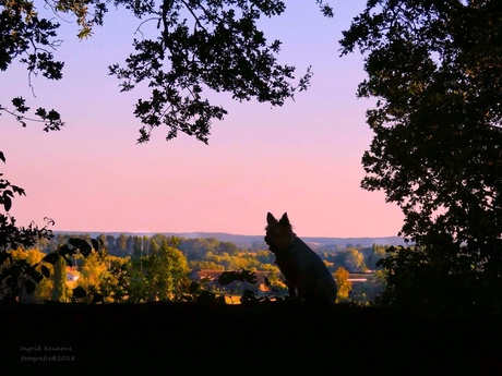 Een mooie zonsondergang in HoogElten.