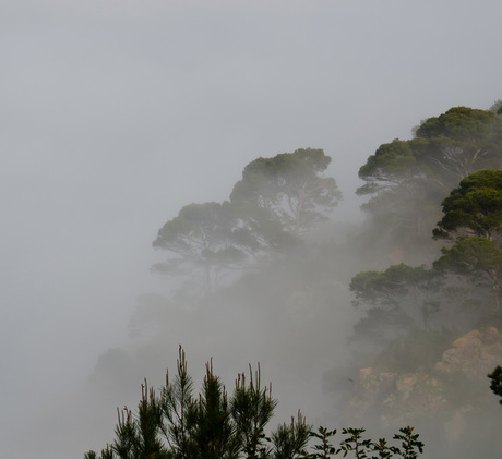 Opkomende mist uit zee bij Cap Roig Palafrugell