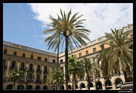 Placa Reial