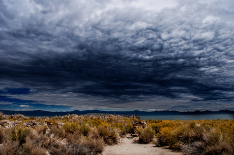 Mono lake skies