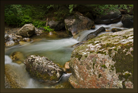 Puur natuur