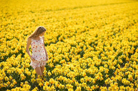 Vesna tussen de narcissen