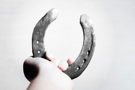 De Kracht tussen mens en paard