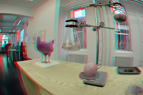 Pink Chicken Project in 38CC Delft 3D 