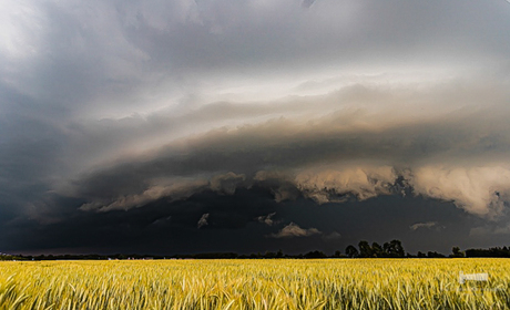 Shelfcloud 