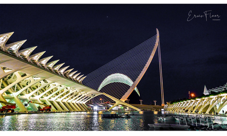 Valencia by Night 