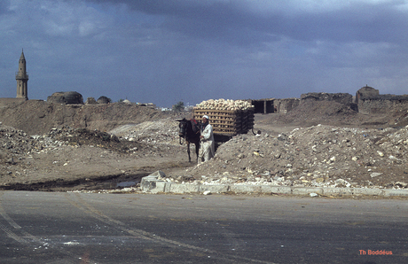 dia 2022 pottenbakker 