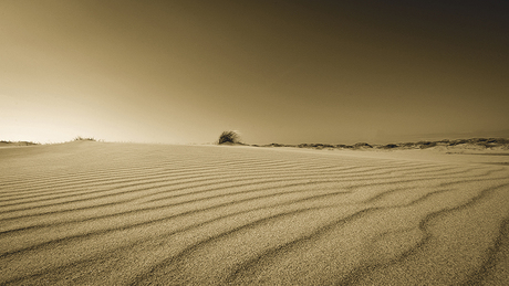 Strand De Hors Texel