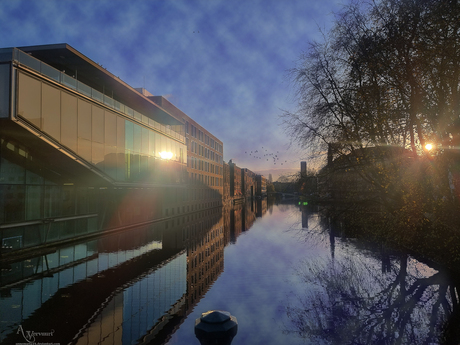 reflectie