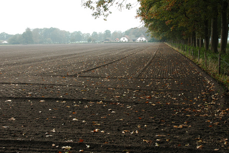 Je moet nu eenmaal regels hebben