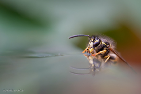 Living on the edge...