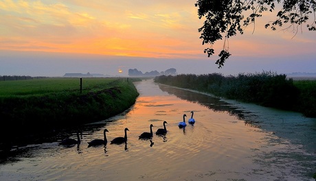 Donderdagochtend