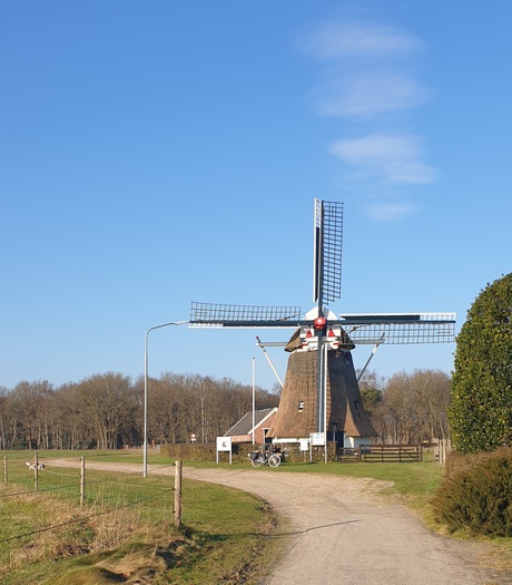Molen.
