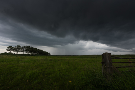 Dark Landscape