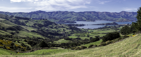 Bay of Akaroa