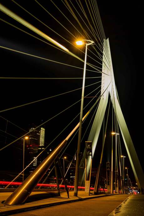 De Erasmusbrug Rotterdam