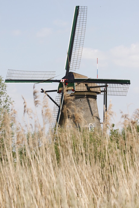 kinderdijk