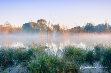 Morning Serenity. Where mist meets light