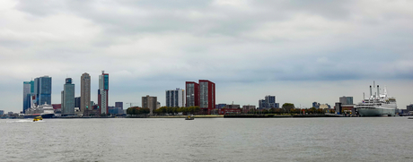 Ms Rotterdam en Ss Rotterdam samen in beeld