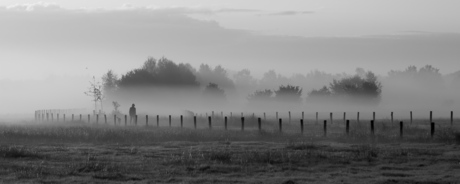 Eenzame wandelaar in de mist