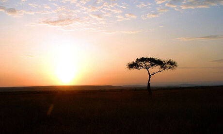 Zonsondergang Masai Mara