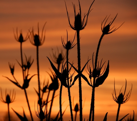 zonsondergang