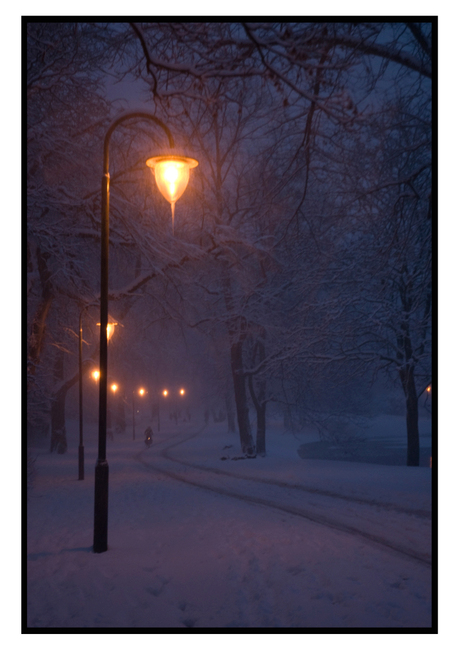 Sneeuw in het plantsoen 1