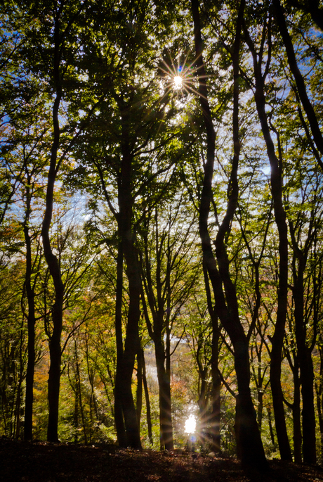 Twee lichtpunten