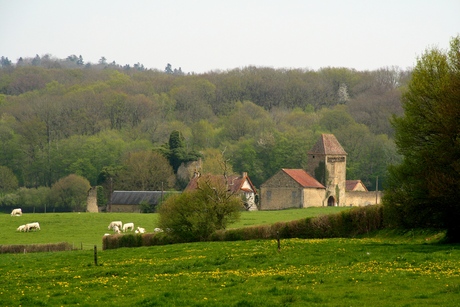 Ruïne in de Morvan