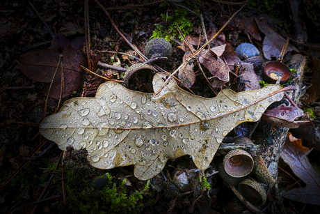 Herfst-tafereel