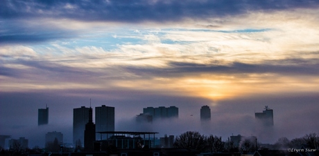 Rotterdam in mist