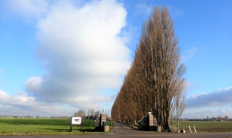 P1430136 Maasland nr2 oprijlaan Boerderij 16jan 2017