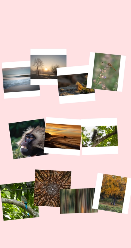 Mijn favoriete uit 2025