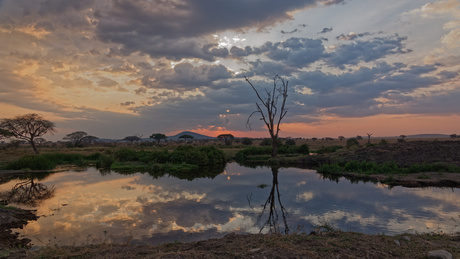 Zonsondergang in Serengeti