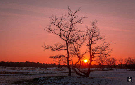 Winter in Holland,...Sunset.