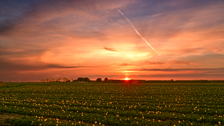 Zonsondergang