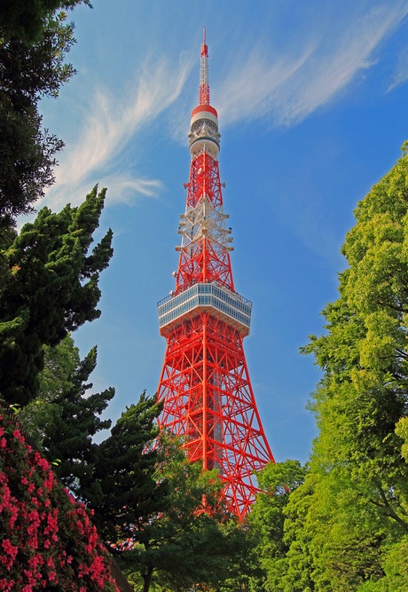 Tokyo Tower van Japan
