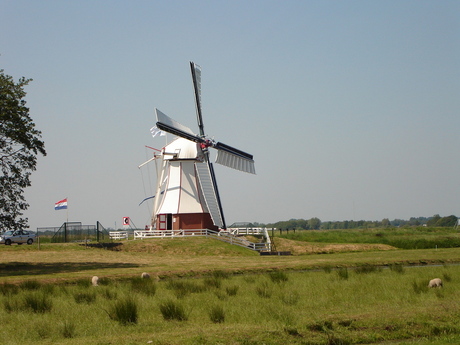 De witte molen