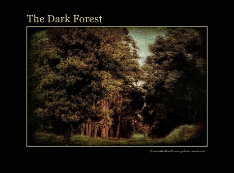 het donkere bos