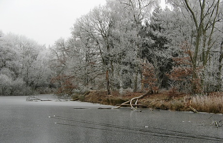 winterlandschap 21-12-2007