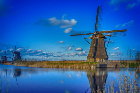 Kinderdijk 2016