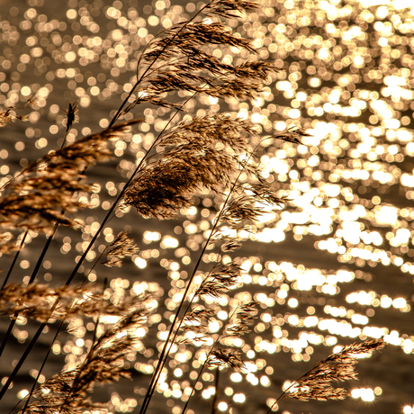 Spelen met licht