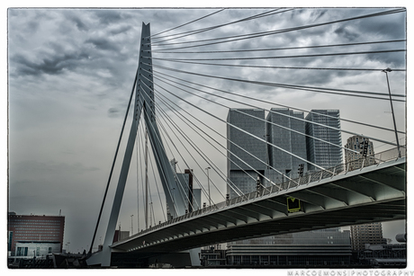 Rotterdam Erasmus Bridge