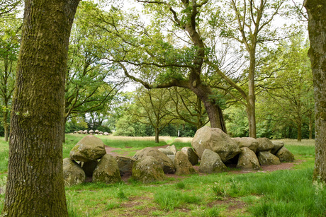 Hunebedden in Drenthe 