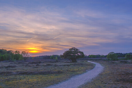 zonsondergang op de heide