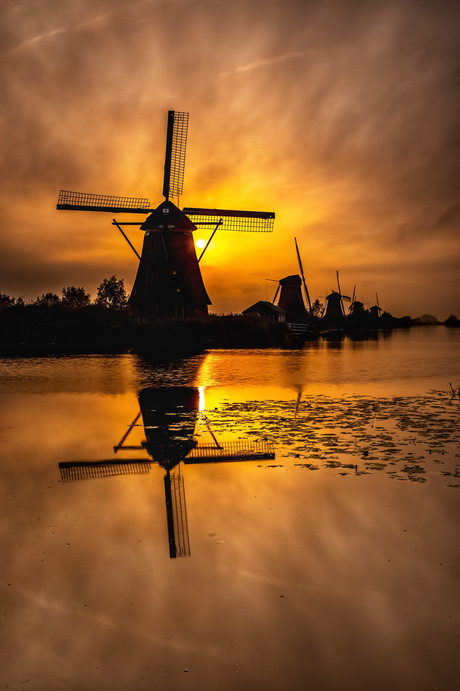 De molen blokkeert het zonnetje 