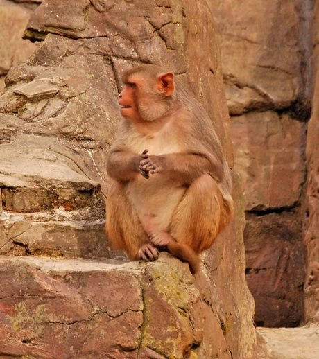 Het water liep hem in de mond