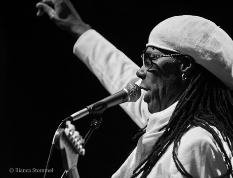 Nile Rodgers