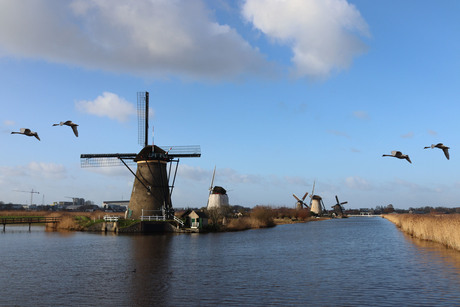 Kinderdijk