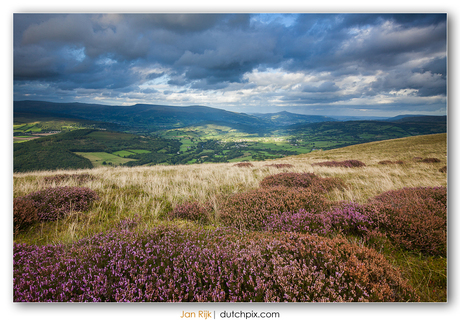 Tor y Foel